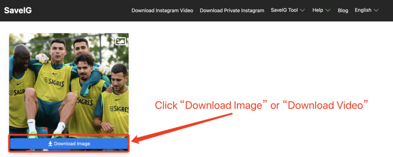 Downloading Instagram Image or Video via SaveVid: SaveVid page showing the option to click 