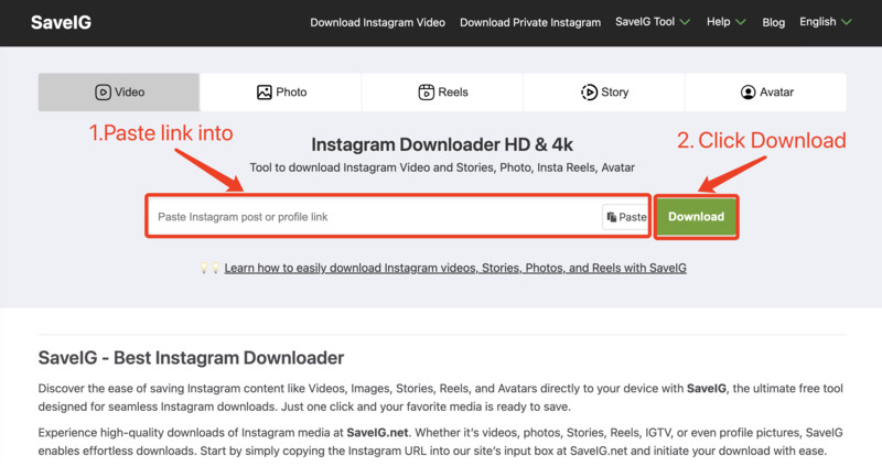 Pasting Instagram Link into SaveVid Downloader: SaveVid website displaying where to paste the copied Instagram link to download videos or images.